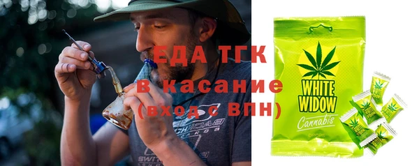 индика Волосово