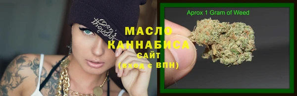 индика Волосово