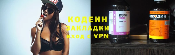 индика Волосово