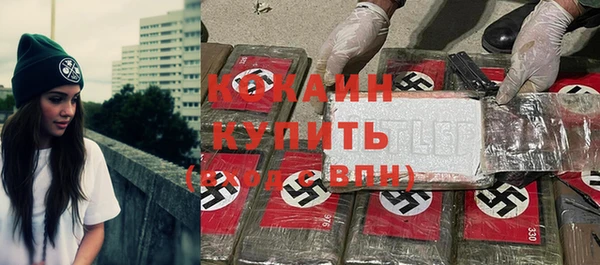 индика Волосово