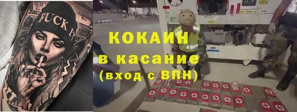 индика Волосово